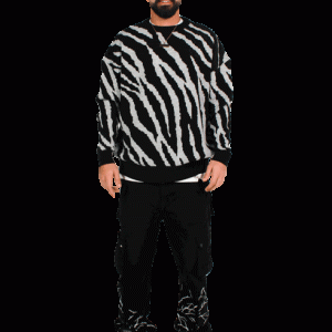 Zebra sweater